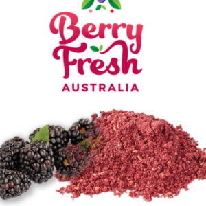 Blackberries powder by BerryFresh Australia